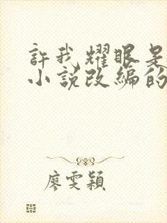 许我耀眼是什么小说改编的