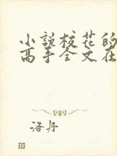 小说校花的贴身高手全文在线阅读