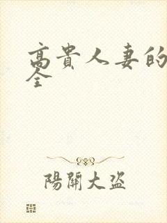 高贵人妻的沉沦全