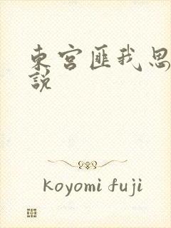 东宫匪我思存小说