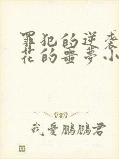 罪犯的逆袭与警花的噩梦小说外传