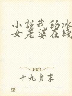 小说我的冰山美女老婆在线阅读