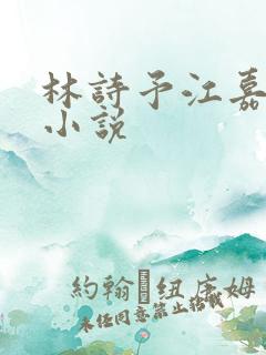 林诗予江嘉珩的小说