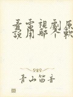 看电视剧原著小说用哪个软件