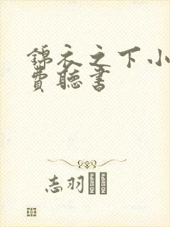 锦衣之下小说免费听书