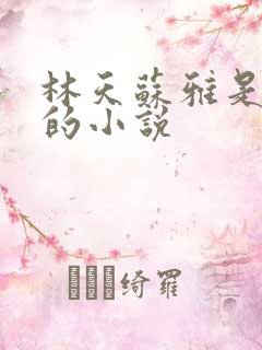 林天苏雅是主角的小说