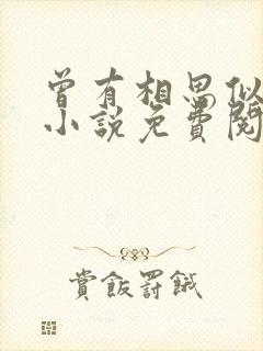 曾有相思似海深小说免费阅读全本