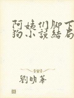 阿姨们脚下的贱狗小说结局