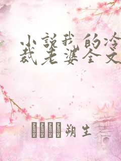 小说我的冷艳总裁老婆全文阅读