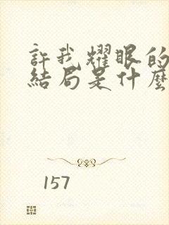 许我耀眼的小说结局是什么