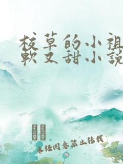 校草的小祖宗又软又甜小说