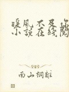 暖风不及你情深小说在线阅读免费