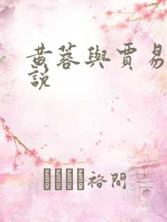 黄蓉与贾易的小说