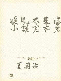 暖风不及你情深小说完本免费阅读