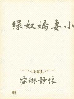 绿奴娇妻小说