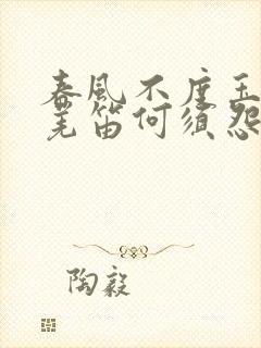 春风不度玉门关羌笛何须怨杨柳