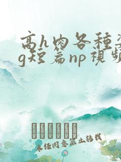 高h肉各种姿势g短篇np视频