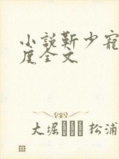 小说靳少宠妻无度全文