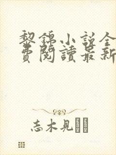 黎锦小说全文免费阅读最新章节