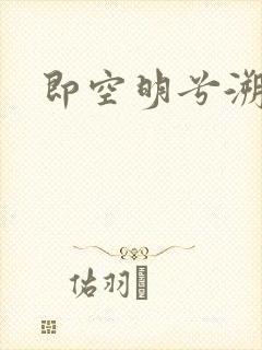 即空明兮溯流光