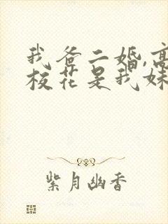 我爸二婚,高冷校花是我妹原版