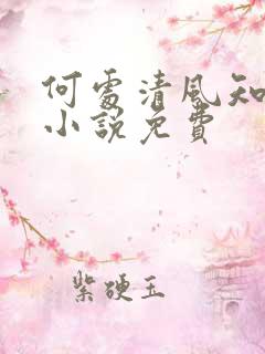 何处清风知我意小说免费