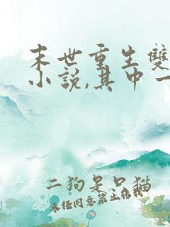 末世重生双男主小说,其中一个男主是丧尸王