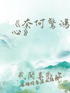 《奈何惊鸿入我心》