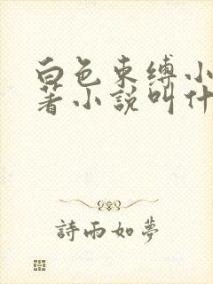 白色束缚小说原著小说叫什么