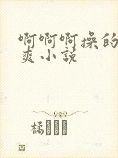 啊啊啊操的我好爽小说