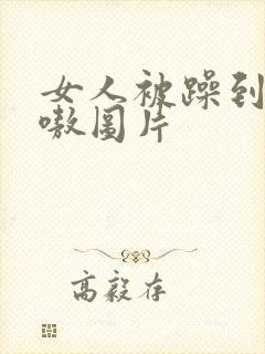 女人被躁到高潮嗷图片