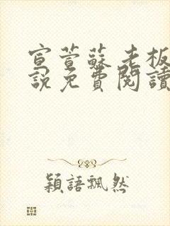 宣萱苏老板的小说免费阅读无弹窗