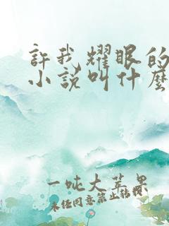 许我耀眼的原著小说叫什么