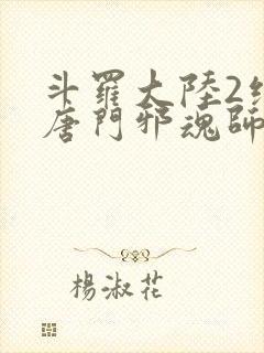 斗罗大陆2绝世唐门邪魂师