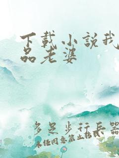 下载小说我的极品老婆