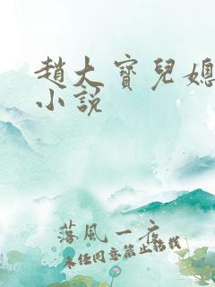赵大宝儿媳苏媚小说
