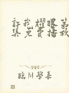 许我耀眼第23集免费播放