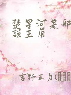 楚星河是哪部小说主角