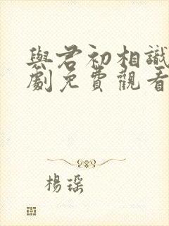 与君初相识电视剧免费观看全集高清