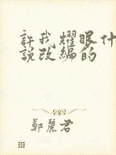 许我耀眼什么小说改编的