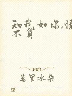 知我如你,情深不负