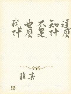 我也不知道爱你什么是什么歌