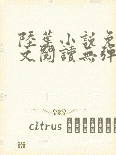 陆叶小说免费全文阅读无弹窗