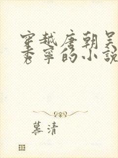 穿越唐朝吴缺李秀宁的小说