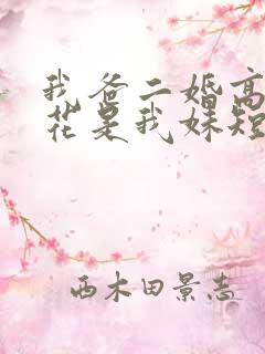 我爸二婚高冷校花是我妹短剧完整版