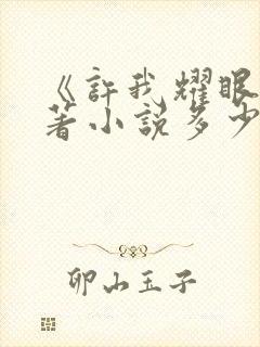 《许我耀眼》原著小说多少字