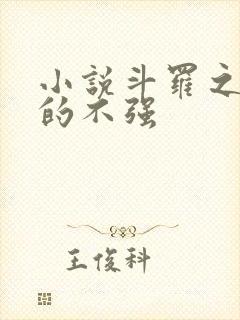 小说斗罗之我真的不强