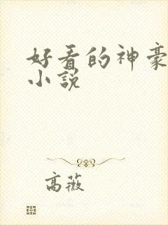 好看的神豪后宫小说