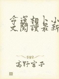 命运相卜小说全文阅读最新章节更新