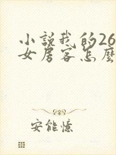 小说我的26岁女房客怎么样